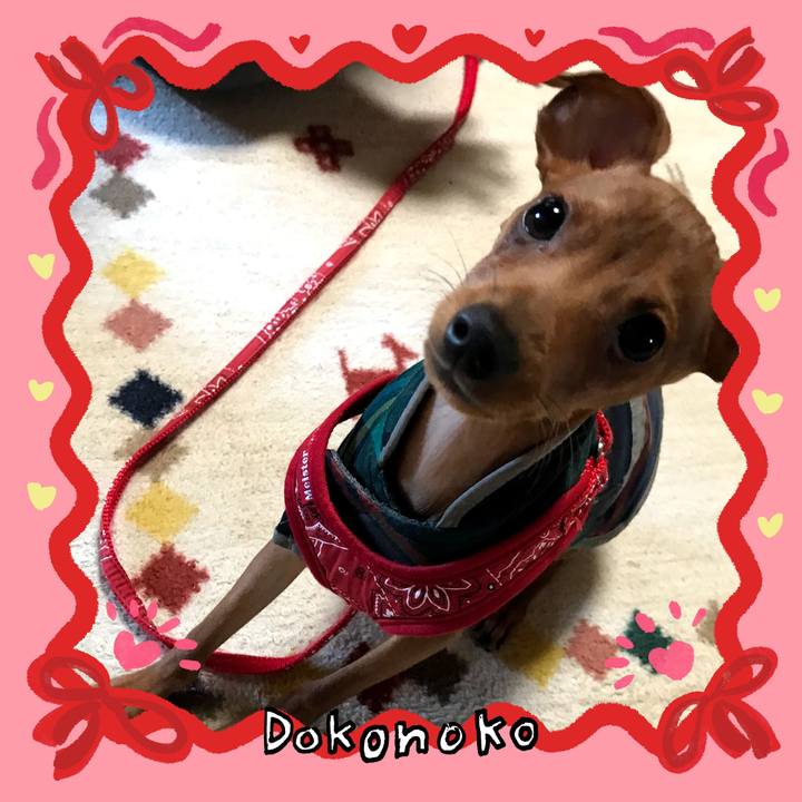 Eafe832e 7491 498e 9113 147457a4d515 1707038851243