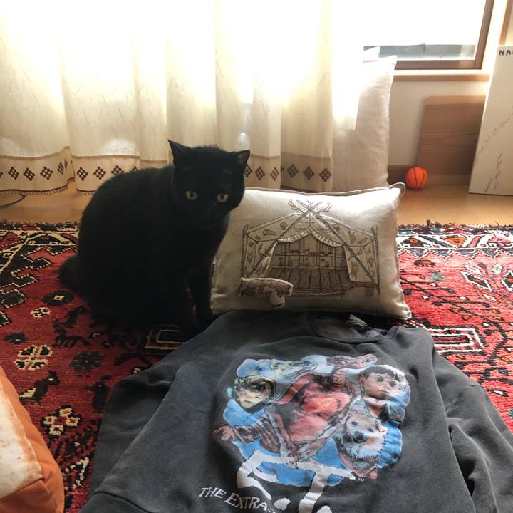 Eafe8a0a 4594 43f7 800a a8b0aa03b4f5 1572828433651