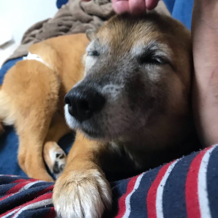 Eafe9530 f5db 47e9 9c71 3a951202436f 1561638250182