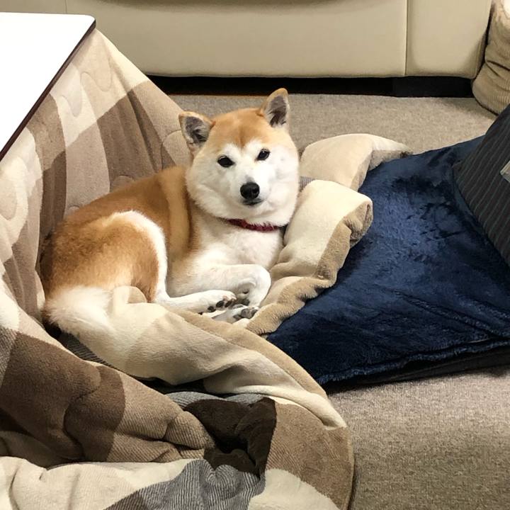 Eafea9a8 3242 4bbb b819 485a95ea3822 1673429102724