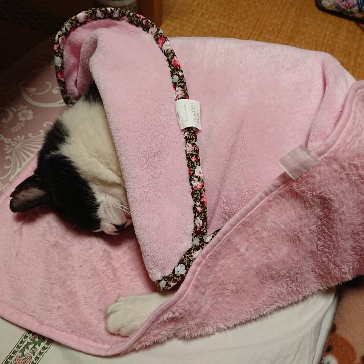 Eafee8a7 9f4f 45a7 901a de4308dc6f0c 1634634699953