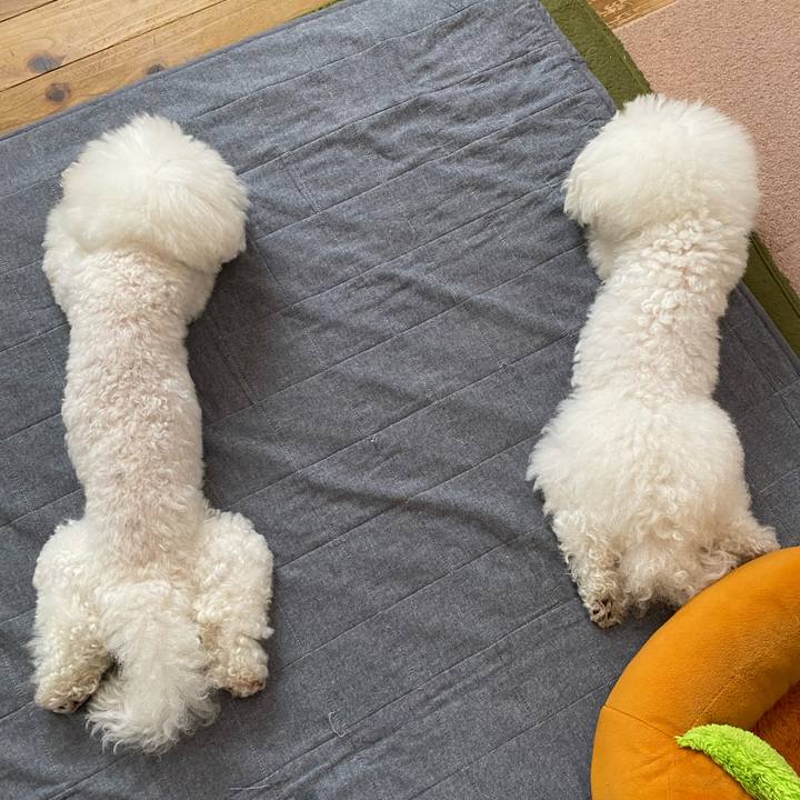 Eaff065e 0074 4c08 babd e548644a5920 1657321273678