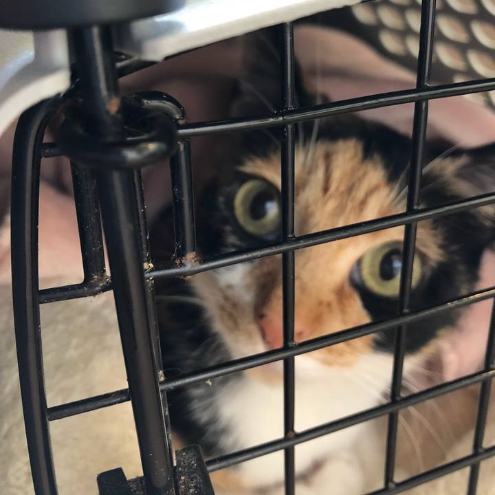 Eaff487b 33af 4f47 a5a3 968412e2da87 1542634828575