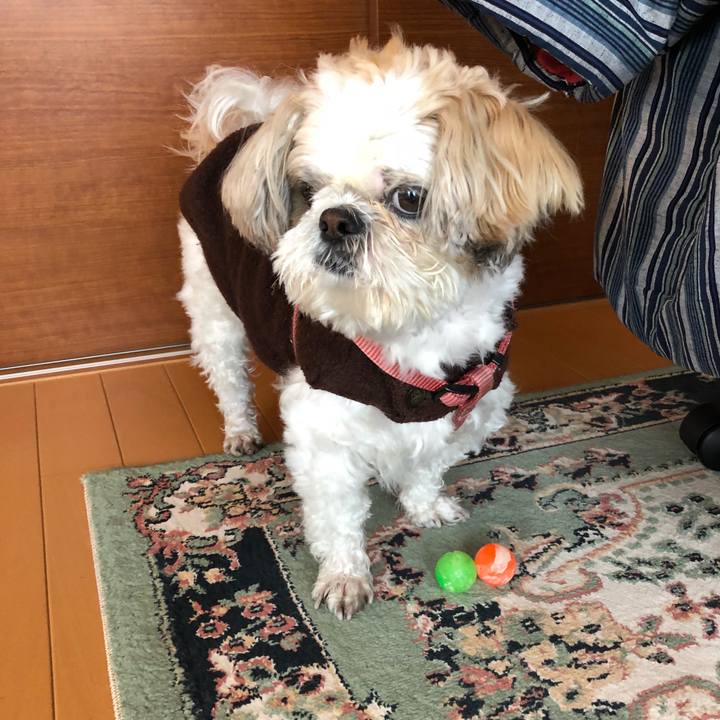 Eaff980d 0715 4ce5 b527 e4d9f2f14faf 1520891275724