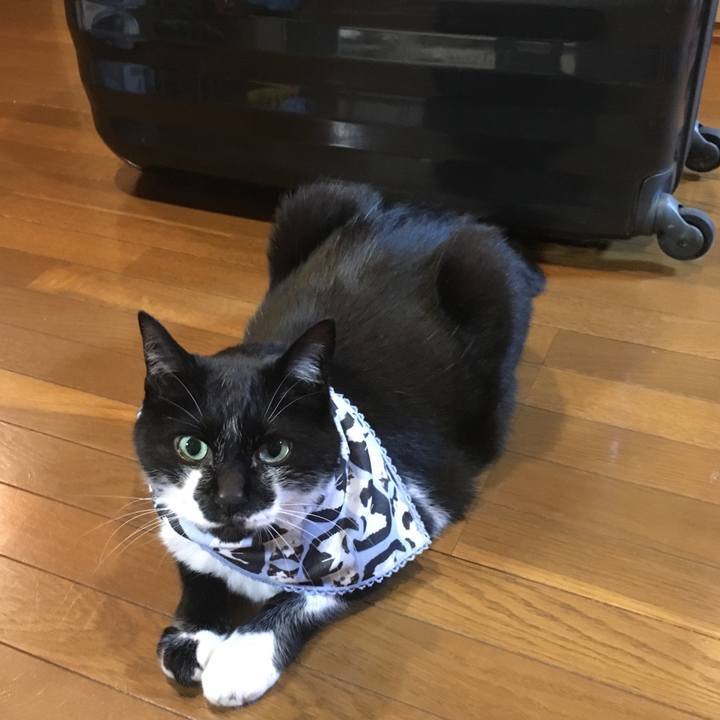 Eaff9b82 30b6 4e6c bc6b ad5e4b308475 1526650995289