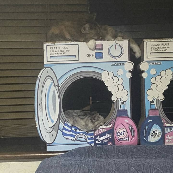 Eaffabc6 4ef0 49bf 8e91 15c6b153dcc5 1725294489694