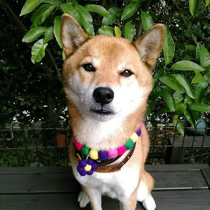 Eaffb53d f84e 4435 9b57 c5bfb8094625 1571204052968