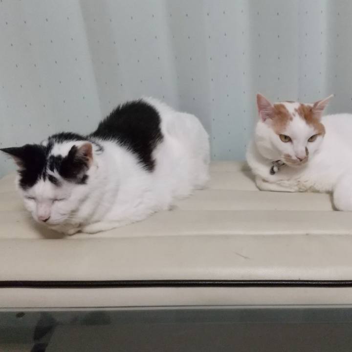 Eaffbca3 0bc4 4a63 a533 52c39c76aaf9 1723252480745