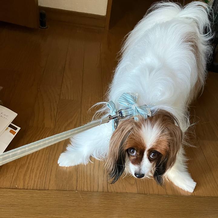 Eaffc95c 763c 4039 97a3 1e3b7b5ae248 1694818801591