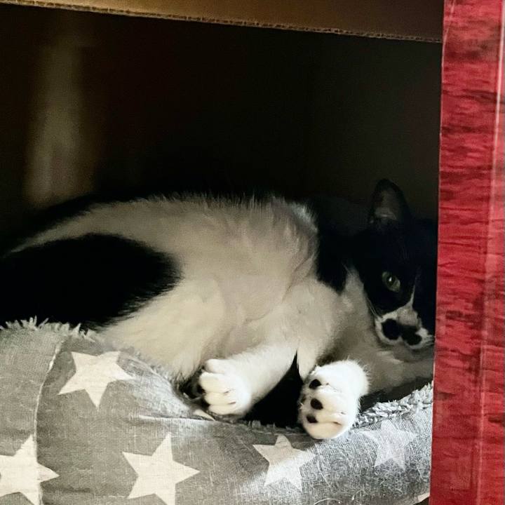 Eaffd12e d255 4536 b02b 84ff05d28967 1682309584218