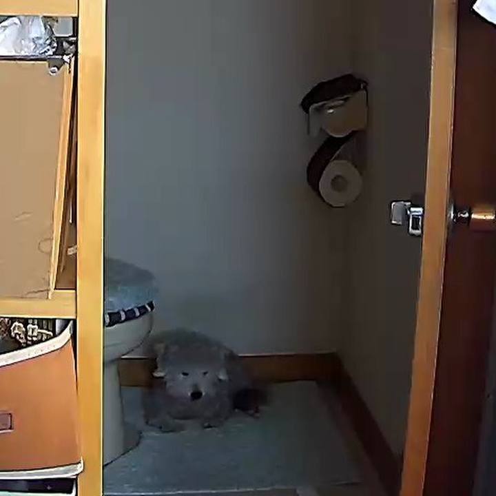 Eaffef04 843f 4145 a6b1 e8844bd9d455 1596526919946