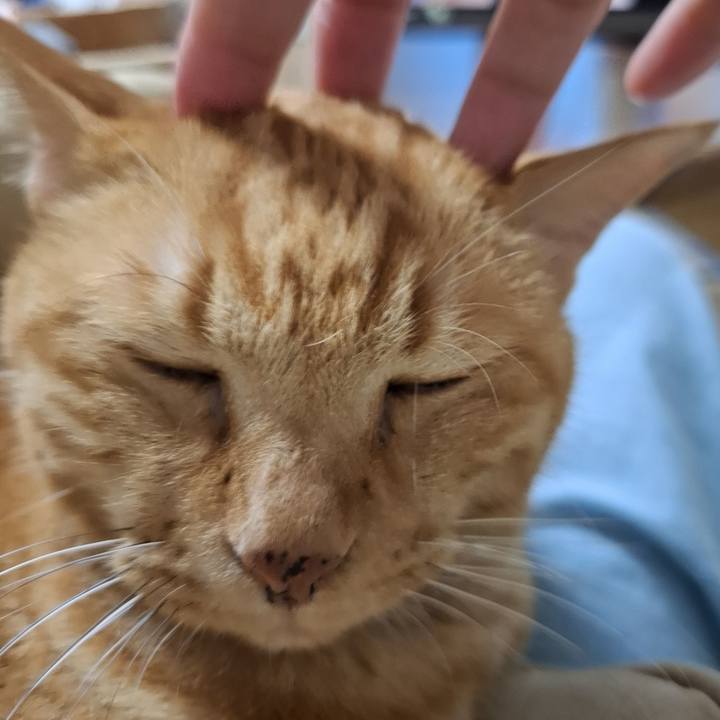 Eb000196 fcaf 4672 9781 a7dfd2e8bdc3 1731583863696