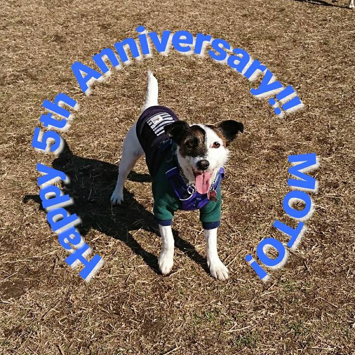 Eb0013fa 7b6c 4158 9116 6cfb5bd66339 1611961202156