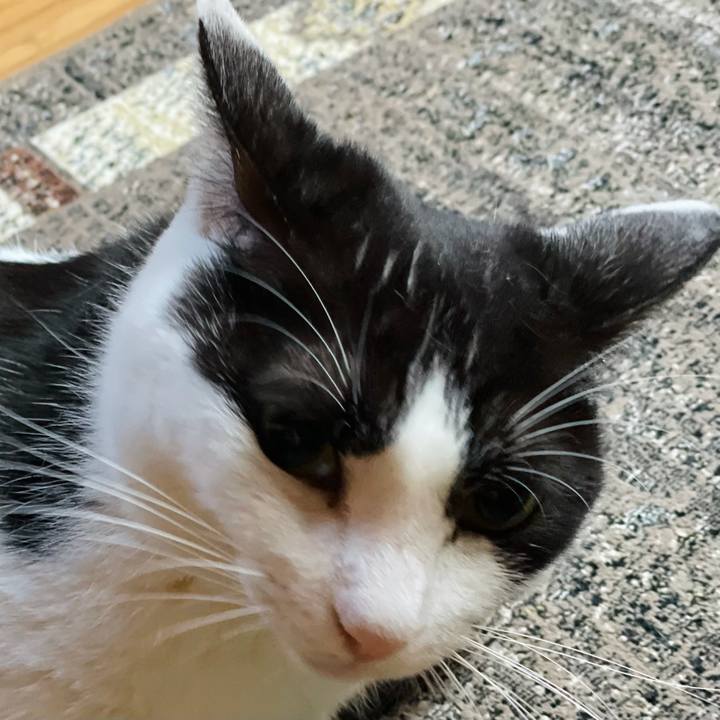 Eb005e85 f346 43e2 abf9 79feb9b53e99 1630112721264