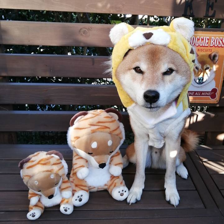 Eb00746c 9e3d 4bad 8da6 bdd7205a05a9 1640241551446