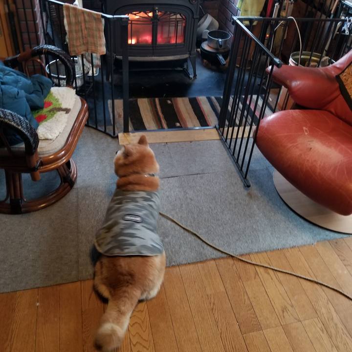 Eb0098b3 bf61 4a34 a5f4 1f278f19e7b8 1701240019491