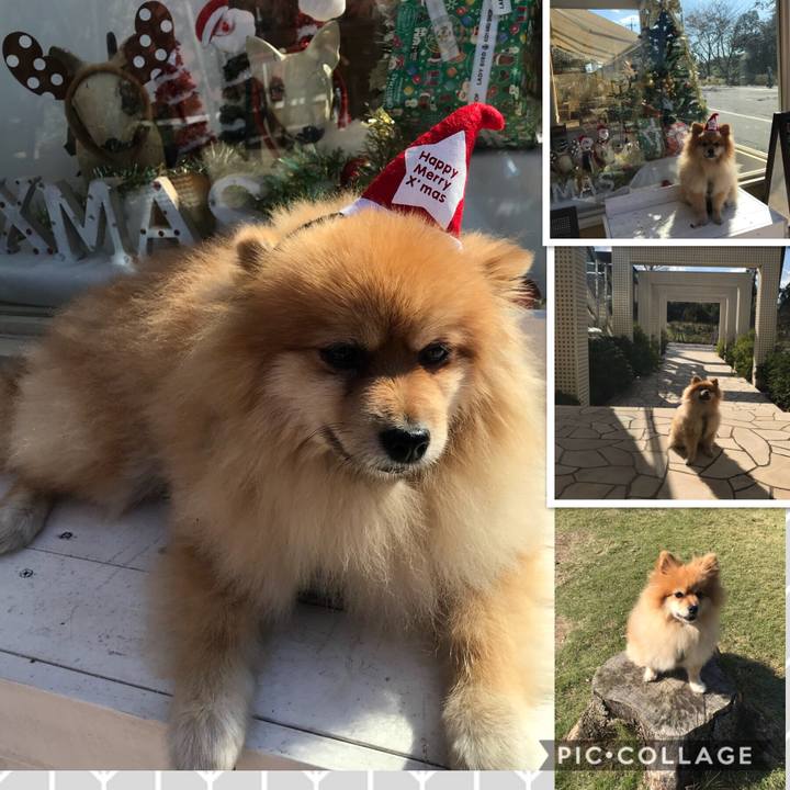 Eb009e56 facb 4b3e a0cc 15c2b9400b66 1541247280951