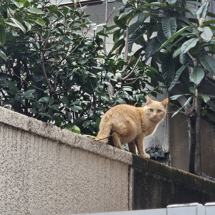 Eb00e746 b428 4bbb a61f 43d542e3ce08 1709160907118