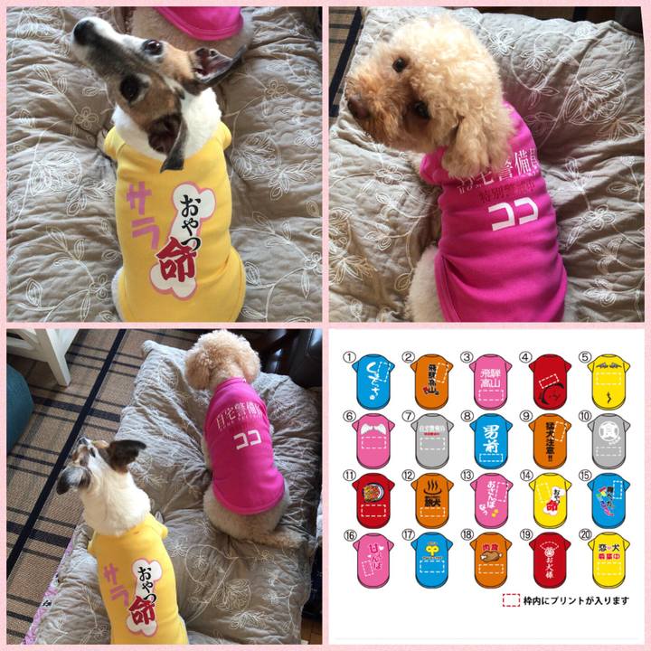 Eb00fdbe 5bf1 4ca1 865f 48645d33f546 1507877933700