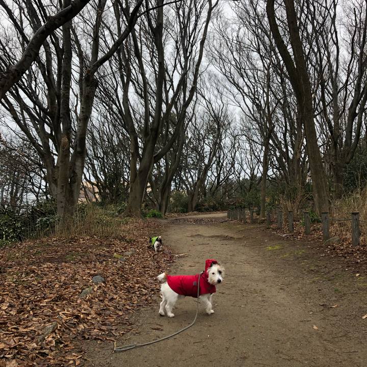 Eb011a45 f709 472c 97dd a0f060c49ee3 1551325380217