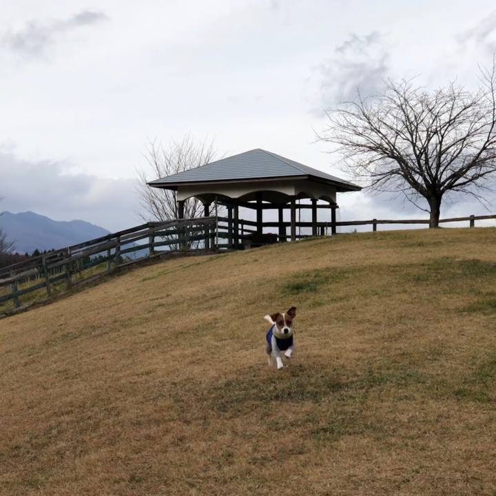 Eb011ab4 00d1 4050 99a0 c22dac31ae58 1544176239239