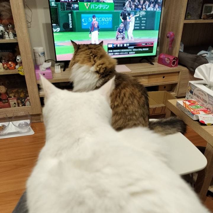 Eb0128ae 3cb8 4481 aba3 0bb287cf6287 1772800805113