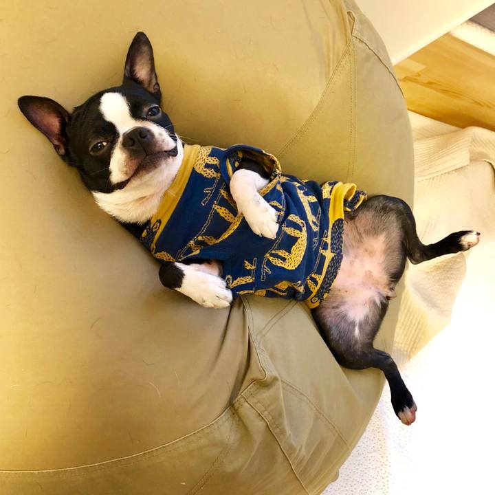 Eb01395e 5962 4840 9c2a b84fe865be88 1518247225900