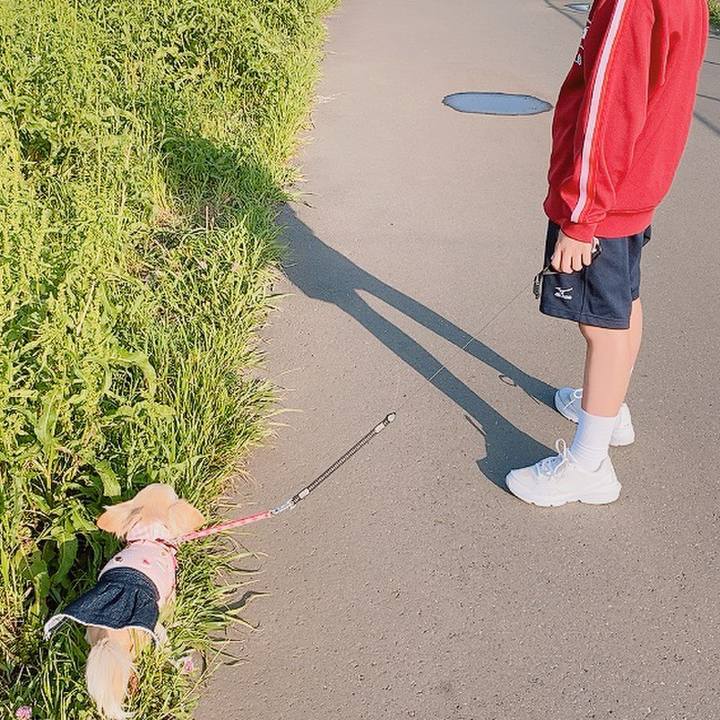 Eb016664 fabc 4f07 ad33 b233b2fa503b 1619773823093