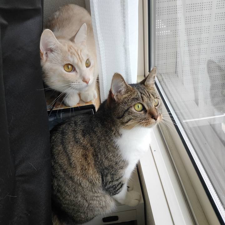 Eb01b280 0500 4a19 9e65 f9b2ce7f9475 1662679603283