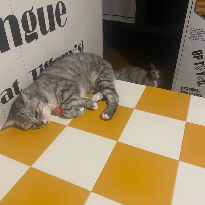 Eb01baac 5c33 4f17 b881 c2ff2d5a1ca3 1693781002063