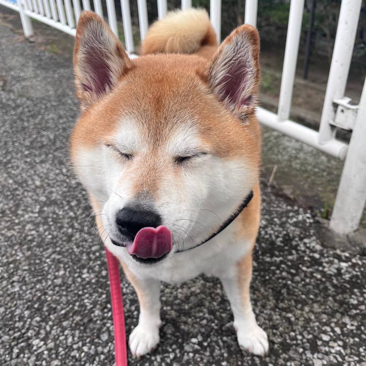 Eb01d9f2 b11e 43e3 a682 6c553ca0aa78 1700040599574