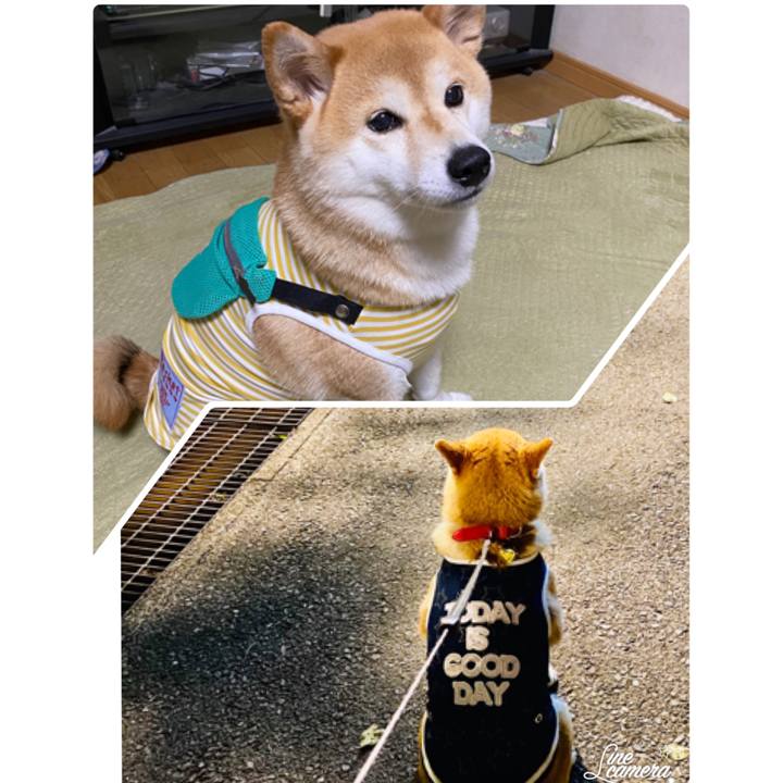 Eb01f4ce b0a3 470a 8e8e 9d6b0fd39eb2 1589374188614