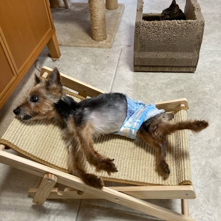 Eb02111c a003 4b3c 9fb2 97ad1d920609 1691991432463