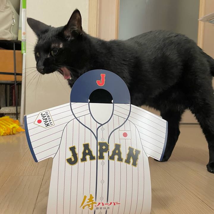 Eb023342 784e 4337 bc29 4288cf236c2a 1679453182228