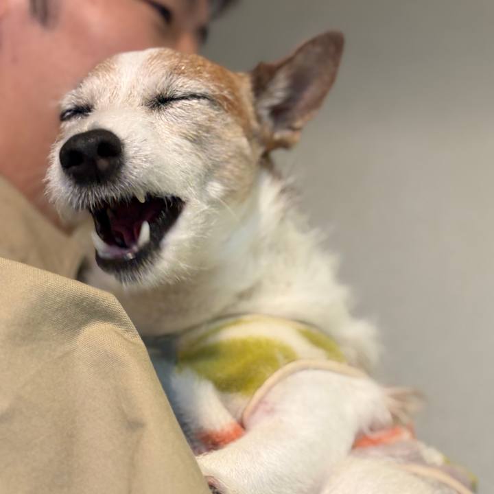 Eb02432b 9e6a 45dc ade3 fe3e91037394 1748475508721