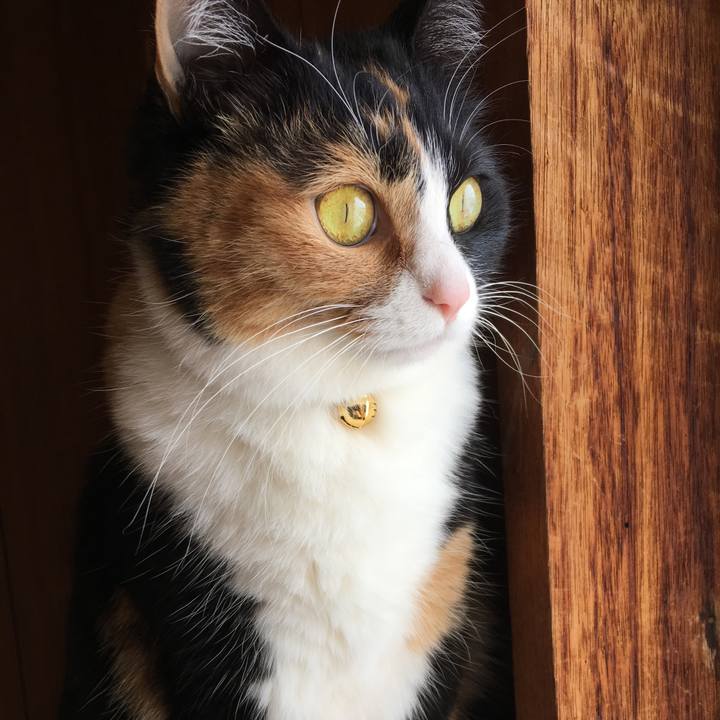 Eb025283 adc3 4036 aaa5 8cbab3eff961 1518413065274