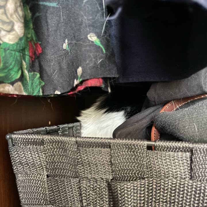 Eb0276ac 8936 4cf3 b3b5 60fc9ccc0e9c 1667622033559