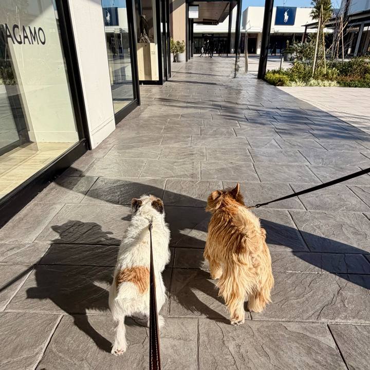 Eb02970f ec46 44cf b88b 1b8260f633c8 1764682099990