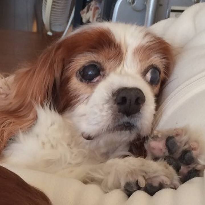 Eb02acf3 ff8e 4746 acda f55ffeea9ca4 1523915978659