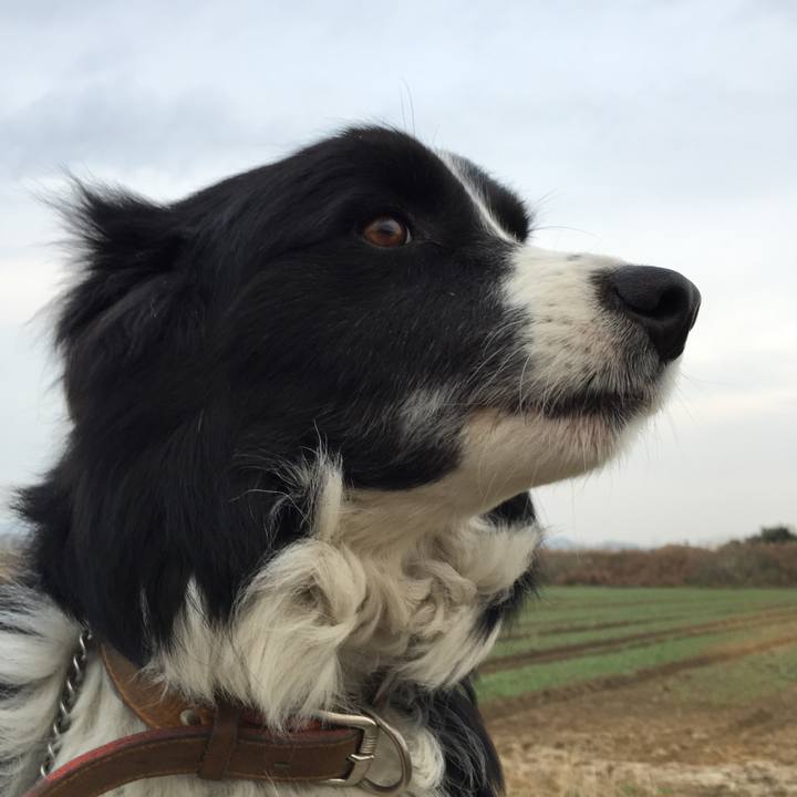 Eb02cc24 3afc 4541 8fc7 e604fd3ceb9c 1519770820701