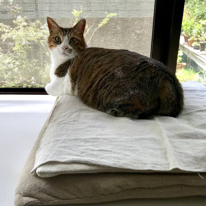 Eb02ea38 c5ee 4bd8 89a4 b7931597847e 1557886191704