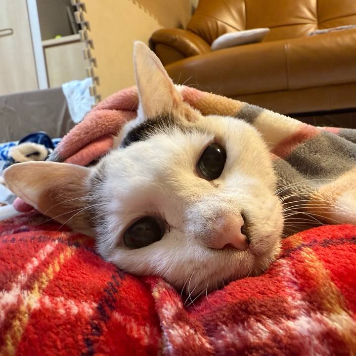 Eb02f514 c1df 4437 ac5e 681e26fad923 1764714843857