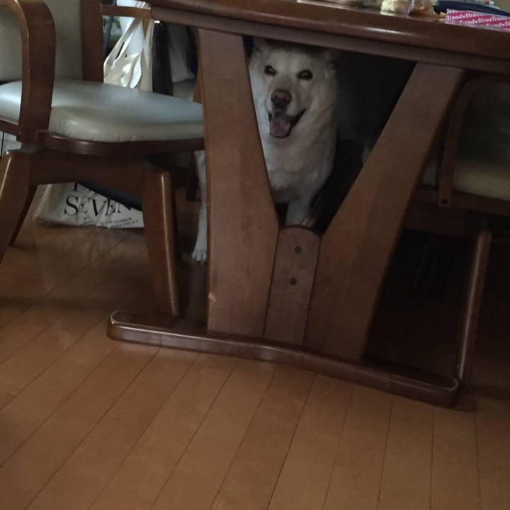 Eb0388e0 5ceb 4c93 b11e aebd7dbc2310 1546985318300