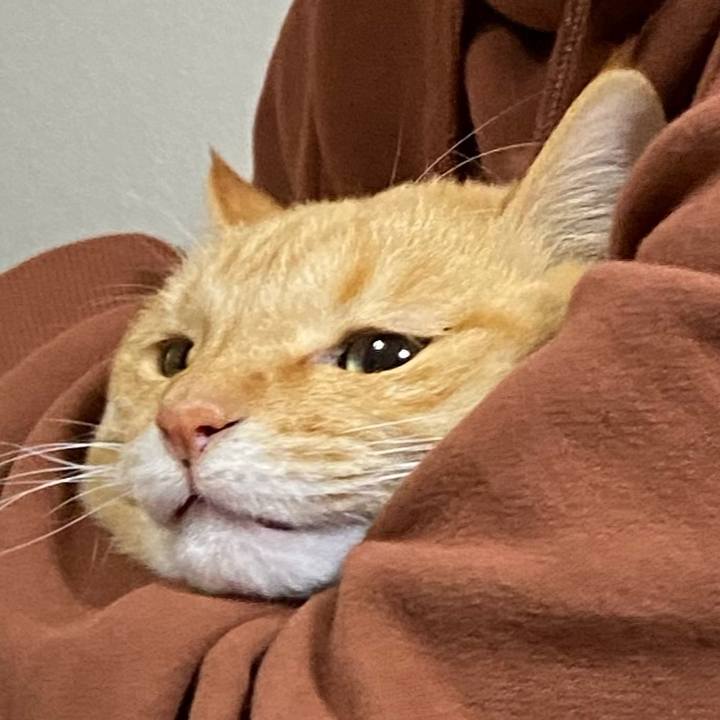 Eb038e5e 7240 4f77 a8ba e36d76fbc6c0 1638107736851