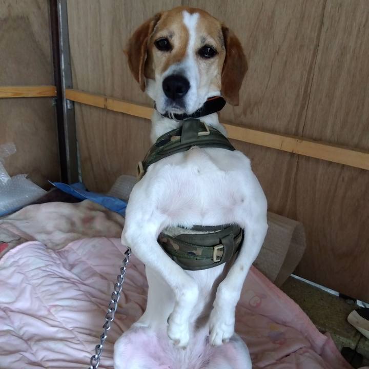 Eb039300 c31e 4fe0 9ca4 192a09b9a3ac 1687772727401