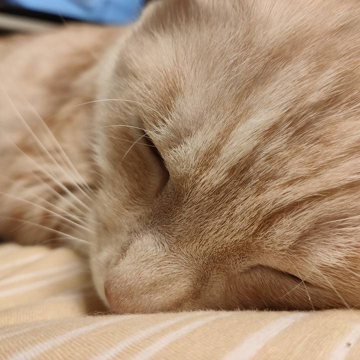 Eb03b8a7 fefd 4749 97a6 fe9cbc167170 1682079225793