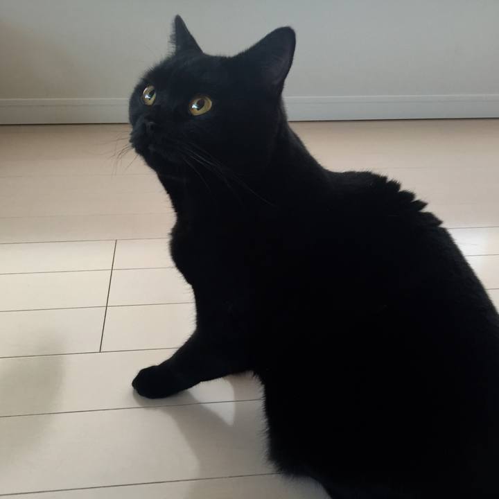 Eb03c54a 3204 4124 a2ae e0a20747b46b 1516243927631