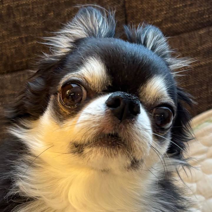 Eb03da22 db15 4d2f 9576 2b765da12941 1745017673359