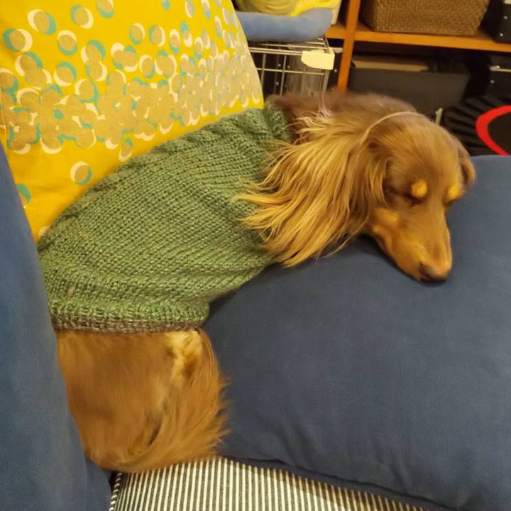 Eb03e308 f95c 4cba a5f5 7cadeeb2e150 1571557951538