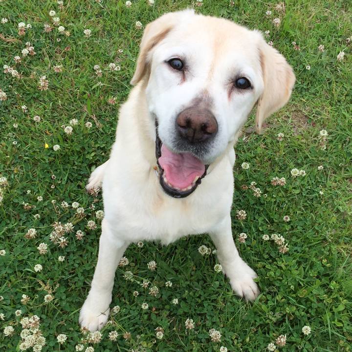 Eb03ed7b cd98 49cc a437 c83aa8970e27 1529586689361